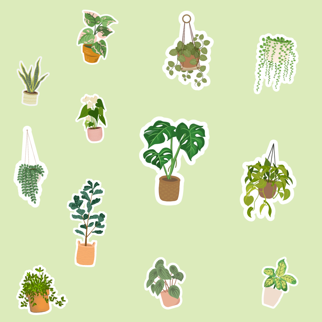 Hoja pegatinas Plantas