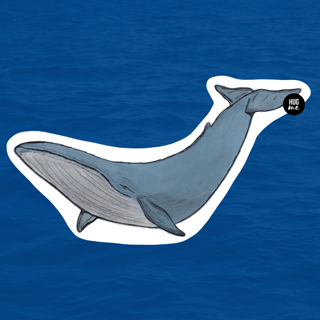sticker_ballena