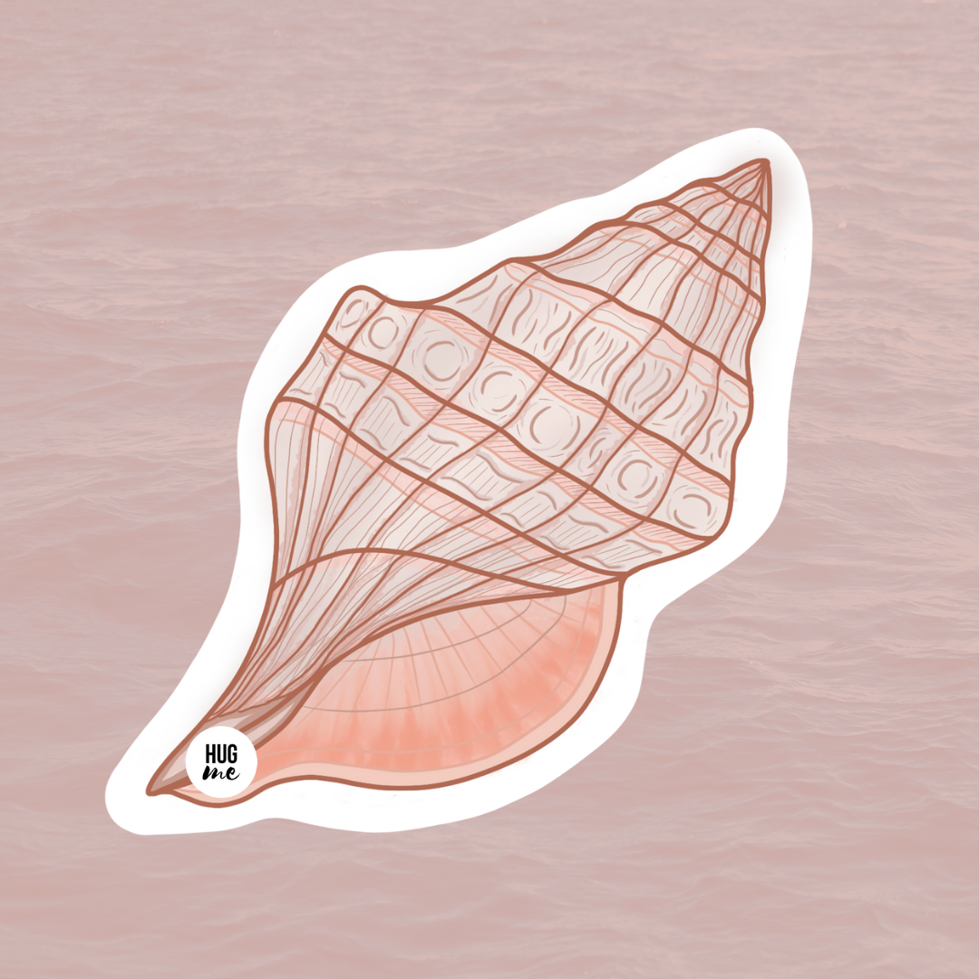 sticker_caracola