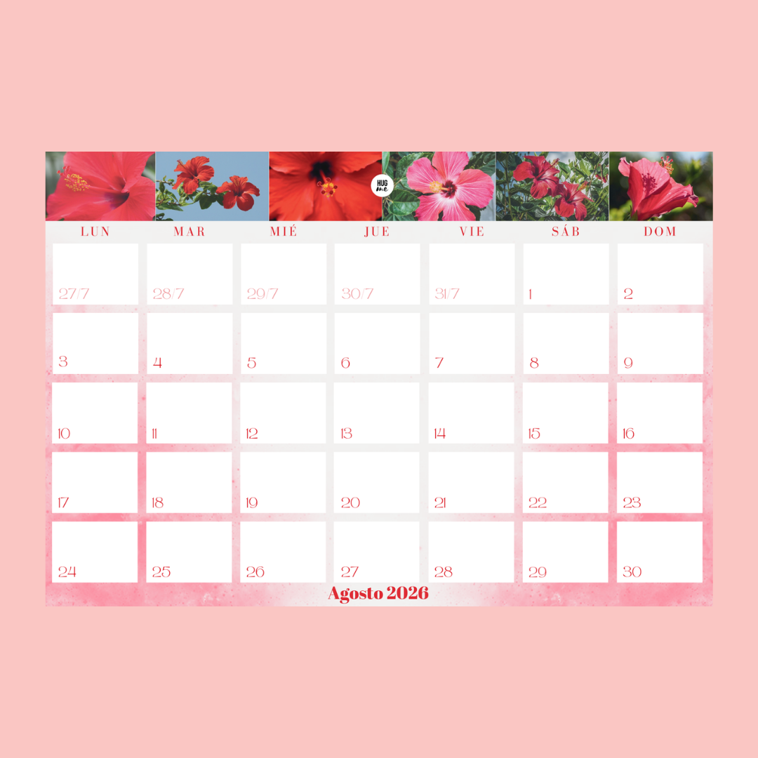 Calendario Anual 2026 A4